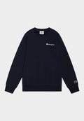 Champion Sweater