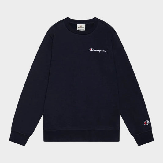 Champion Sweater